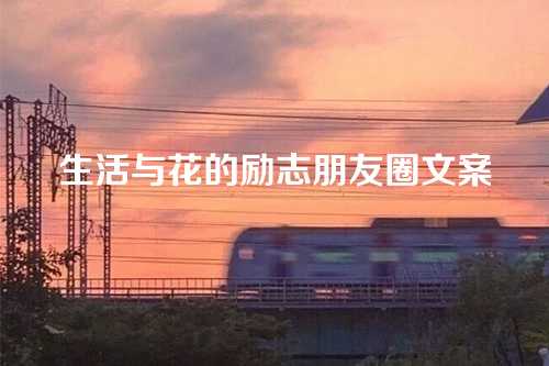 生活与花的励志朋友圈文案-第1张图片-温柔治愈励志文案网