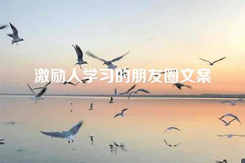 激励人学习的朋友圈文案-第1张图片-温柔治愈励志文案网