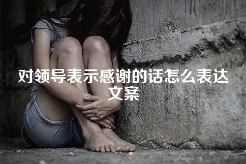 对领导表示感谢的话怎么表达文案-第1张图片-温柔治愈励志文案网
