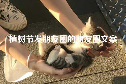 植树节发朋友圈的朋友圈文案