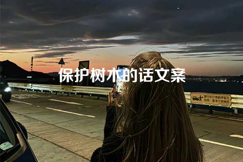 保护树木的话文案-第1张图片-温柔治愈励志文案网
