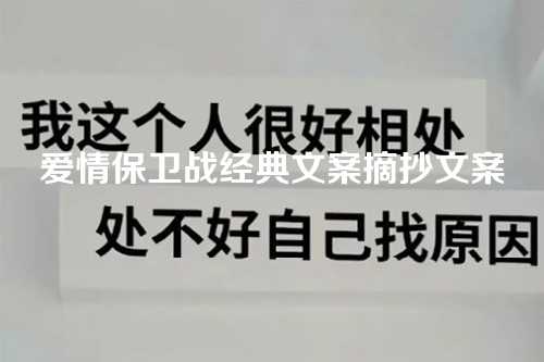 爱情保卫战经典文案摘抄文案-第1张图片-温柔治愈励志文案网