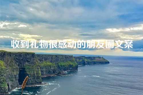 收到礼物很感动的朋友圈文案-第1张图片-温柔治愈励志文案网