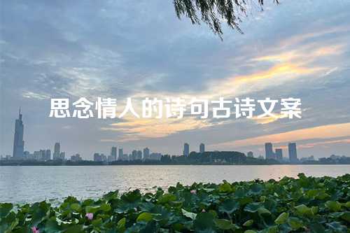 思念情人的诗句古诗文案