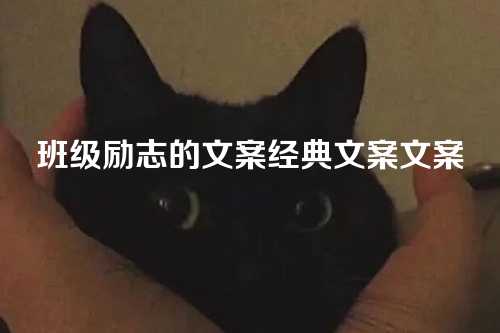 班级励志的文案经典文案文案-第1张图片-温柔治愈励志文案网