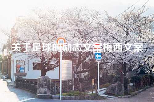 关于足球的励志文案梅西文案-第1张图片-温柔治愈励志文案网