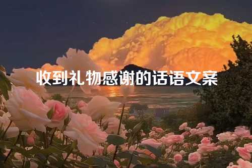 收到礼物感谢的话语文案