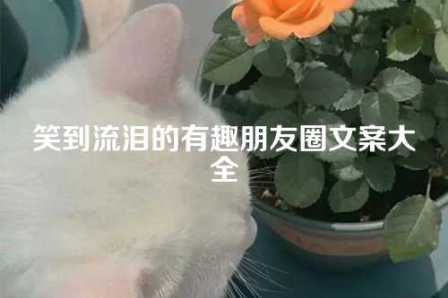 笑到流泪的有趣朋友圈文案大全