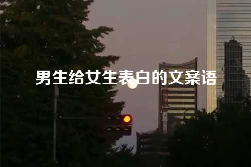 男生给女生表白的文案语