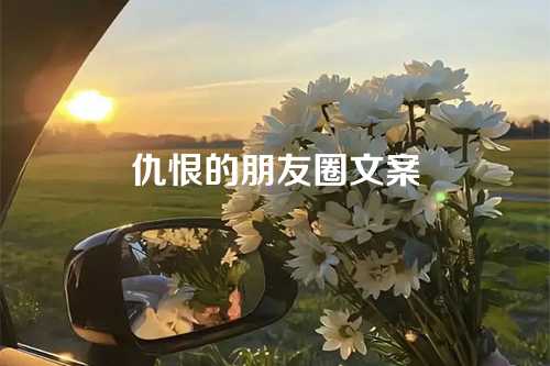 仇恨的朋友圈文案