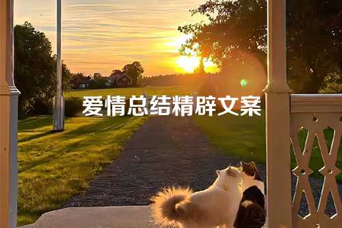 爱情总结精辟文案