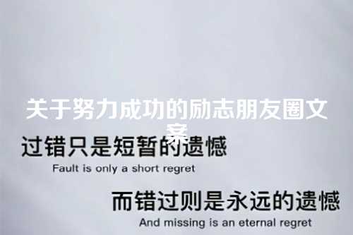 关于努力成功的励志朋友圈文案-第1张图片-温柔治愈励志文案网