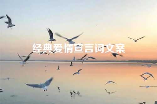 经典爱情宣言词文案