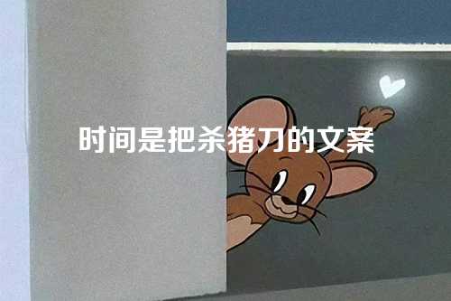 时间是把杀猪刀的文案-第1张图片-温柔治愈励志文案网