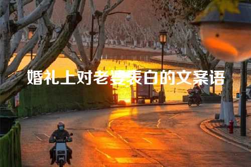 婚礼上对老婆表白的文案语