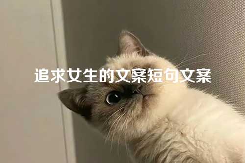 追求女生的文案短句文案