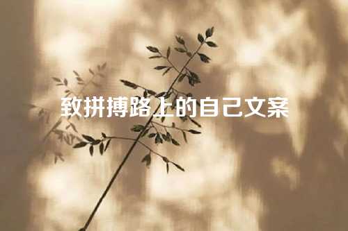 致拼搏路上的自己文案