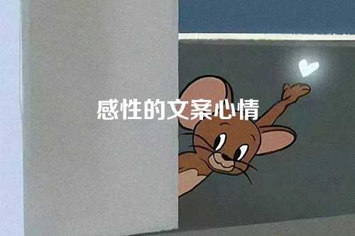 感性的文案心情-第1张图片-温柔治愈励志文案网