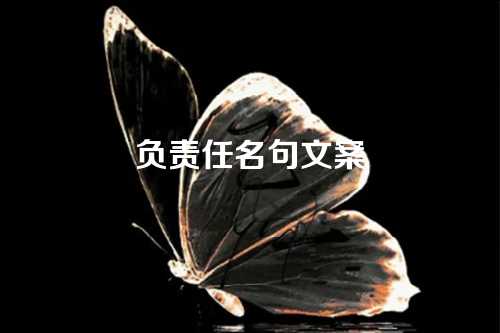 负责任名句文案-第1张图片-温柔治愈励志文案网