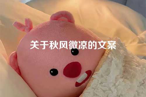 关于秋风微凉的文案