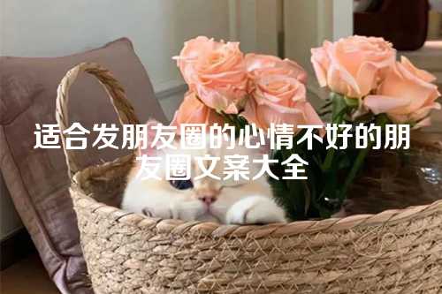 适合发朋友圈的心情不好的朋友圈文案大全