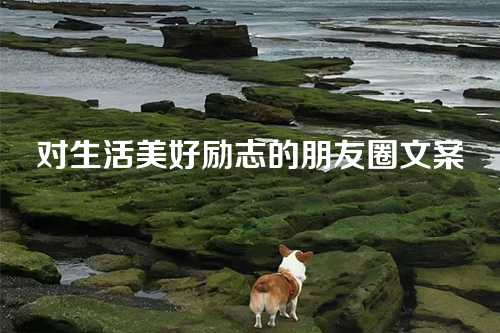 对生活美好励志的朋友圈文案