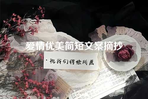 爱情优美简短文案摘抄