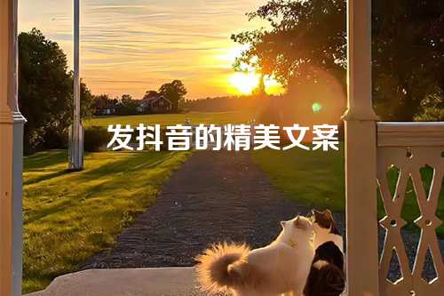 发抖音的精美文案-第1张图片-温柔治愈励志文案网