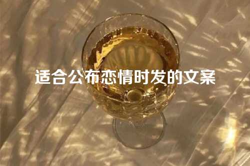 适合公布恋情时发的文案