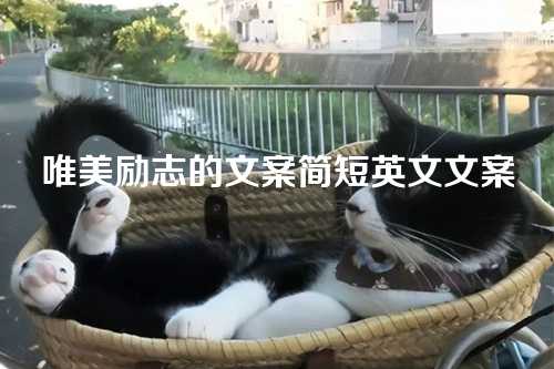 唯美励志的文案简短英文文案-第1张图片-温柔治愈励志文案网