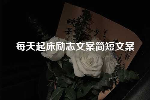 每天起床励志文案简短文案