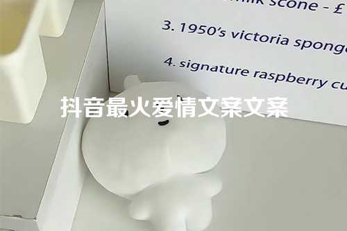 抖音最火爱情文案文案