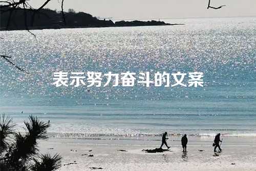 表示努力奋斗的文案-第1张图片-温柔治愈励志文案网