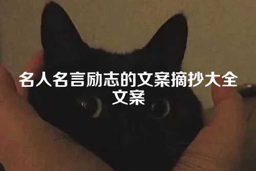 名人名言励志的文案摘抄大全文案