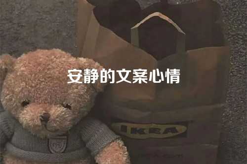 安静的文案心情