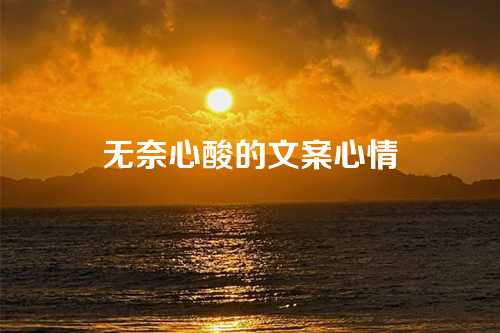 无奈心酸的文案心情-第1张图片-温柔治愈励志文案网