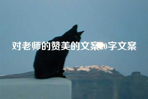 对老师的赞美的文案20字文案-第1张图片-温柔治愈励志文案网
