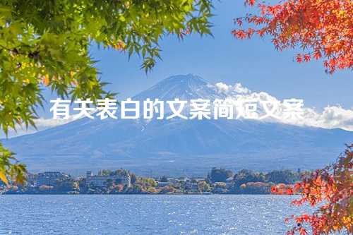 有关表白的文案简短文案