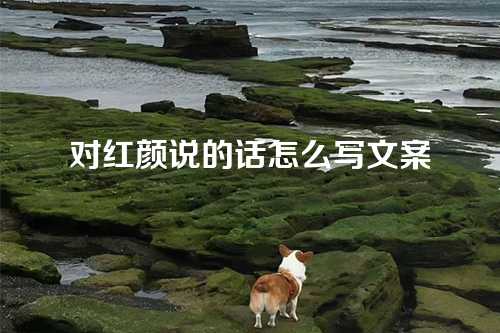 对红颜说的话怎么写文案