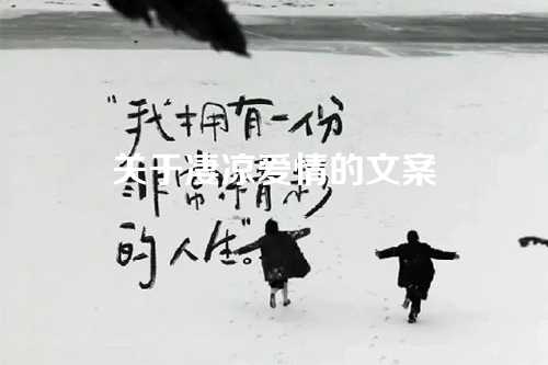 关于凄凉爱情的文案