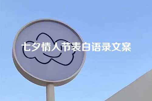 七夕情人节表白语录文案