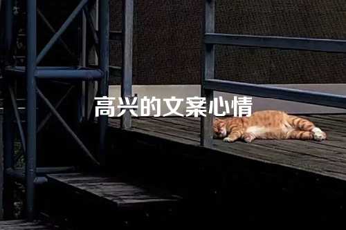 高兴的文案心情