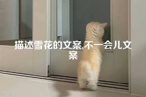 描述雪花的文案,不一会儿文案