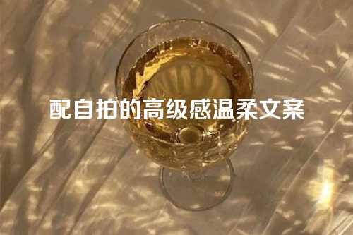 配自拍的高级感温柔文案