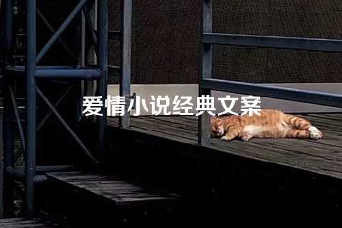 爱情小说经典文案-第1张图片-温柔治愈励志文案网