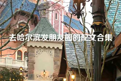 去哈尔滨发朋友圈的配文合集