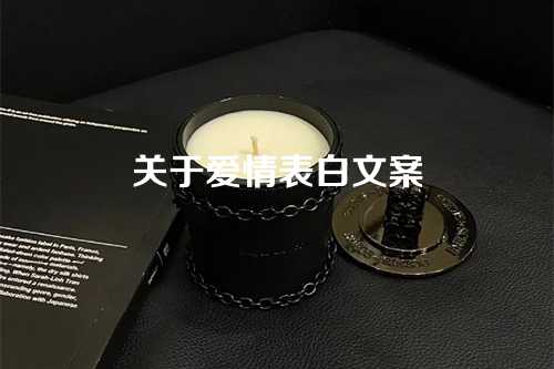 关于爱情表白文案-第1张图片-温柔治愈励志文案网