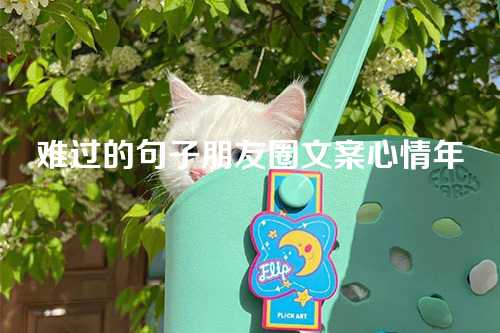难过的句子朋友圈文案心情年-第1张图片-温柔治愈励志文案网