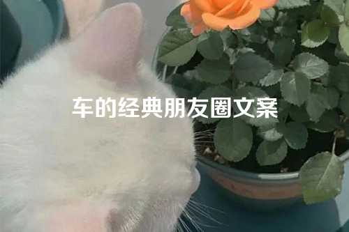 车的经典朋友圈文案
