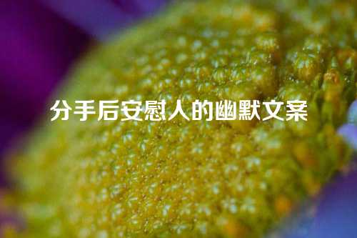 分手后安慰人的幽默文案